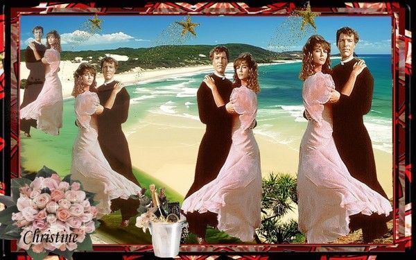 les oiseaux se cachent pour mourir